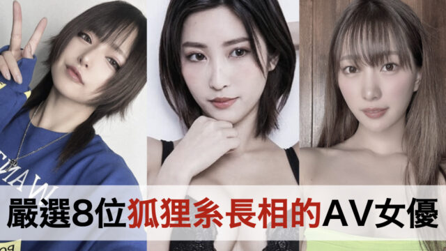 嚴選8位狐狸系長相的AV女優