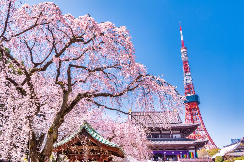 芝公園・增上寺