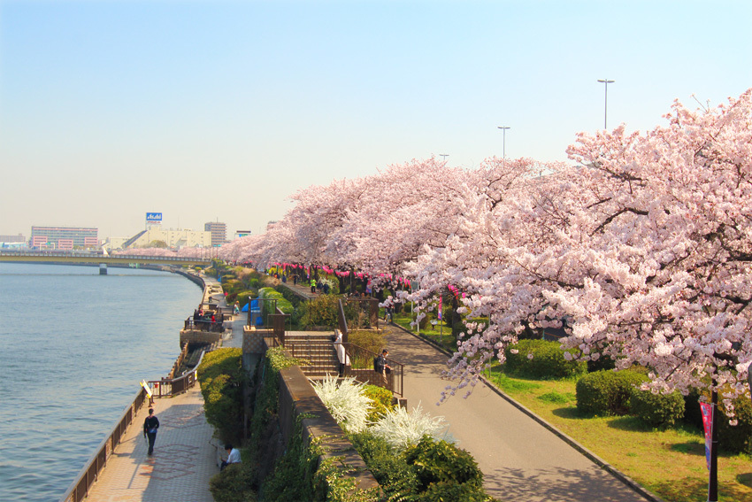 隅田川沿岸
