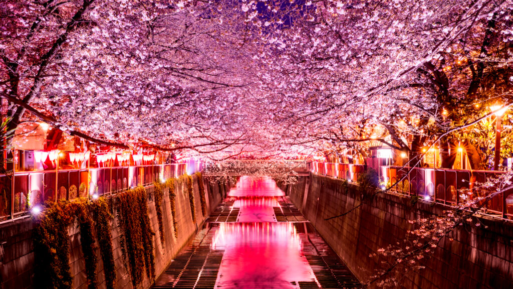 目黑川